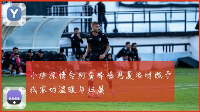 小桥深情告别黄蜂感恩夏洛特赋予我家的温暖与归属